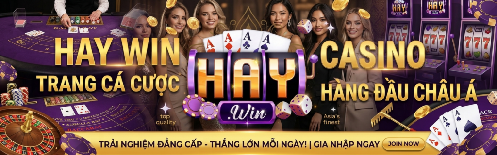 Haywin tham gia cược casino hấp dẫn