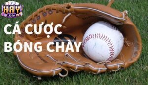 Các Loại Kèo Cược Bóng Chày Phổ Biến Tại Haywin