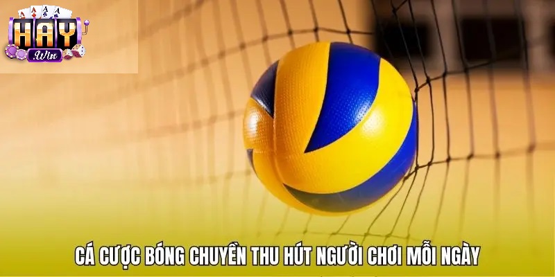 Cược Bóng Chuyền Haywin Là Gì? Vì Sao Lại Thu Hút Cược Thủ?