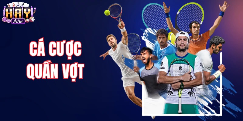 Cược Quần Vợt Haywin Là Gì? Vì Sao Lại Thu Hút Cược Thủ?