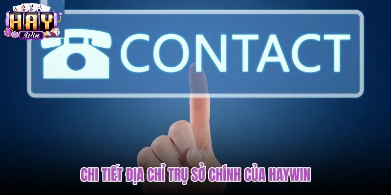 Tổng Hợp Các Kênh Liên Hệ Haywin Chính Thức & Nhanh Nhất