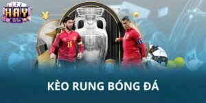 Điểm Khác Biệt Khi Đánh Kèo Rung Tại Haywin