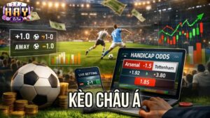 Cách Đọc Các Mốc Kèo Châu Á Phổ Biến Trên Haywin
