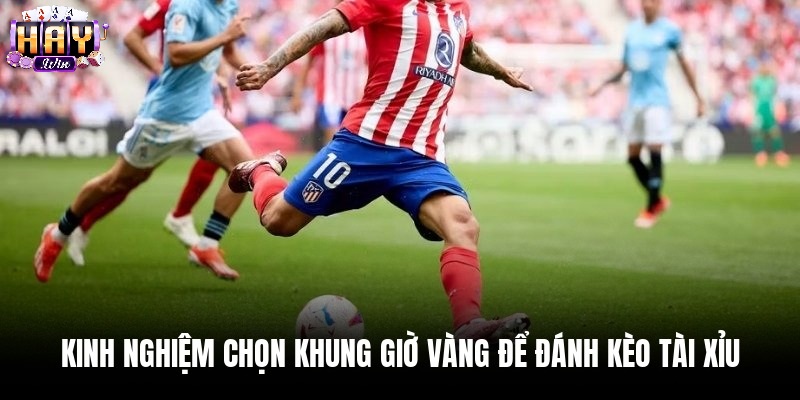 Các Mốc Kèo Tài Xỉu Phổ Biến Tại Haywin Và Cách Đọc