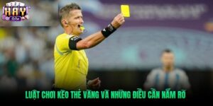 Bí Kíp Soi Kèo Thẻ Vàng Haywin Chuẩn Như Cao Thủ