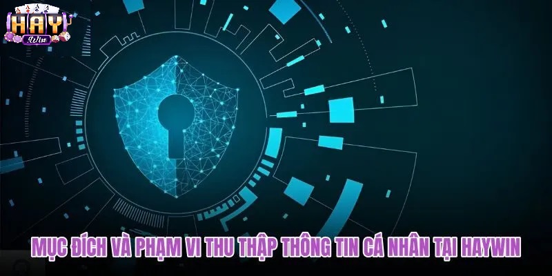 Phạm Vi & Dữ Liệu Haywin Thu Thập Từ Người Dùng