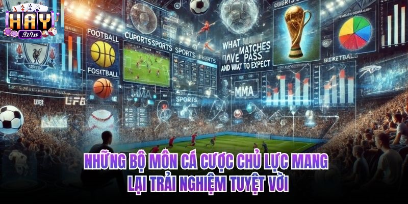 Hệ Thống Sảnh Cược Đa Dạng Tại Thể Thao Haywin