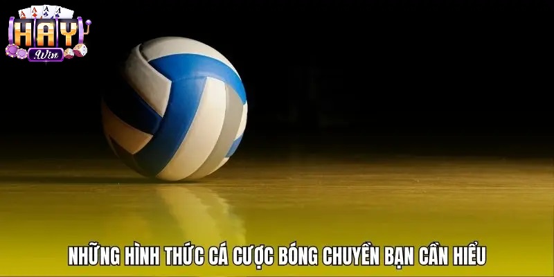 Bí Kíp Soi Kèo Bóng Chuyền Chuẩn Cao Thủ Tại Haywin