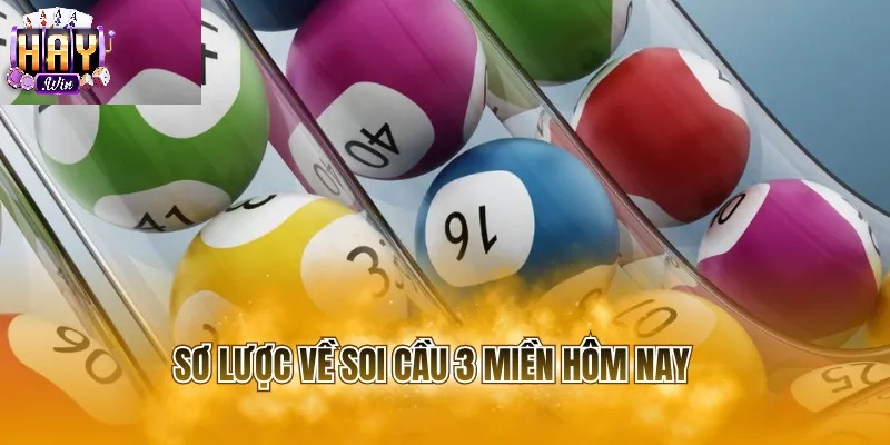 Lý Do Nên Tham Gia Soi Cầu Lô Đề Tại Haywin