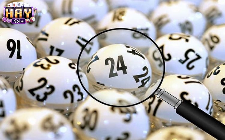 Chiến Thuật Quản Lý Vốn Và Đi Cầu Chuẩn Tại Haywin