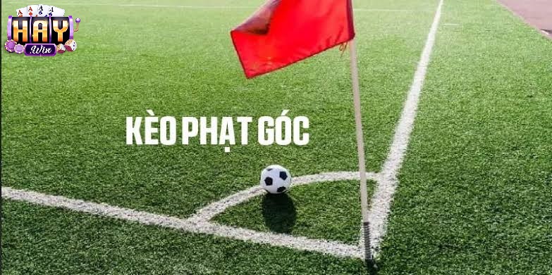 Lý Do Nên Chọn Cá Cược Phạt Góc Tại Haywin