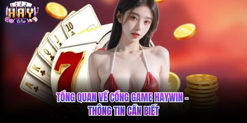 Tổng Quan Về Thương Hiệu Haywin